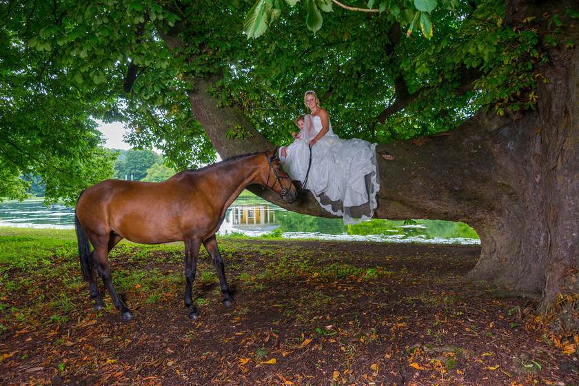 WWE Bridal tree 027 
 West Wycombe Horse shoot 
 Keywords: Buckinghamshire wedding photographer, Horses, Piers Photo, Summer, West Wycombe House