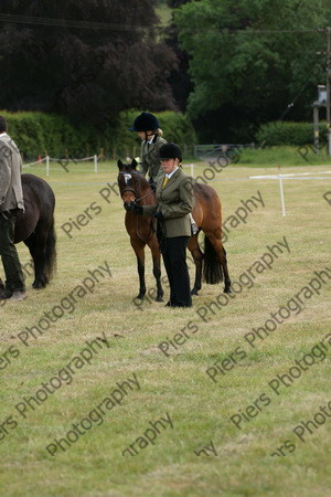 Leading Rein 22 
 NRCS Class 17 Leading Rein