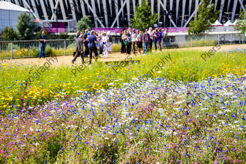 Olympics 017 
 Olympic Park and Handball 
 Keywords: Olympics, handball, Copper Box, Cadburys, PiersPhotos