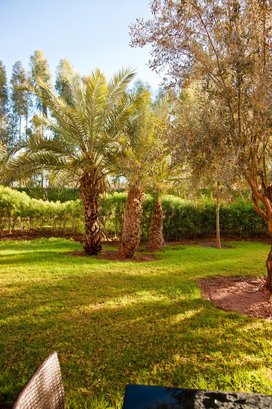 Morroco Hotel 001 
 Keywords: Marrakesh, Morocco, Piers Photography