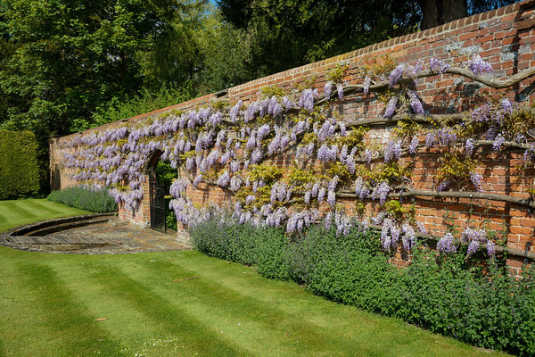 Adwell House 04 
 Adwell House May 2013 
 Keywords: Adwell House, Piers Photos, gardens