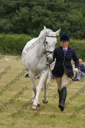 In Hnad Veteran Horse 06 
 NRCS Class 22 In Hand Veteran Horse