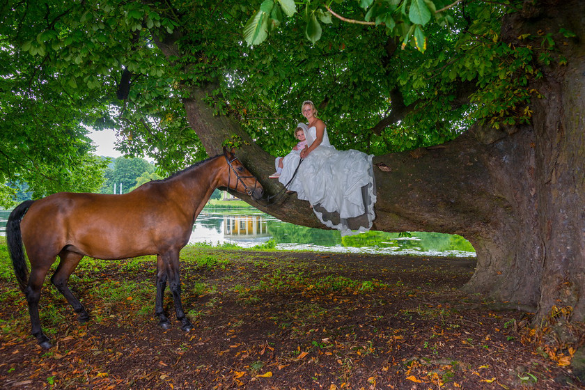 WWE Bridal tree 030 
 West Wycombe Horse shoot 
 Keywords: Buckinghamshire wedding photographer, Horses, Piers Photo, Summer, West Wycombe House