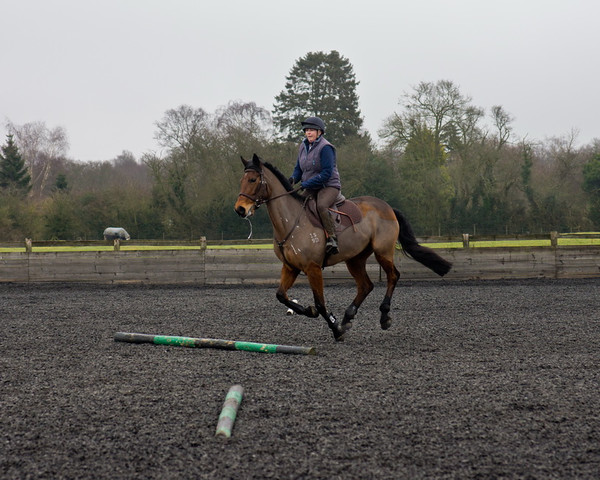 Ollie and Blyth Lesson 25 
 Ollie and Blyth Lesson 
 Keywords: Piers Photo, Moses Plat Yard, Ollie, Blyth, Mary Hilder, Jo Reynolds