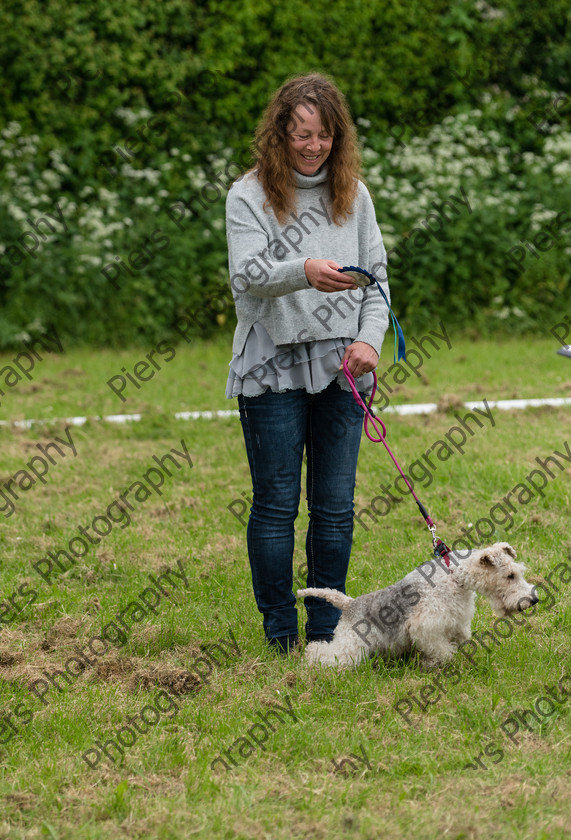 NRC Dog Show 055 
 Naphill Riding Club Open Show 
 Keywords: Naphill Riding Club, Open Show, Equestrian, Piers Photography, Bucks Wedding Photographer