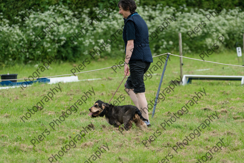 NRC Dog Show 002 
 Naphill Riding Club Open Show 
 Keywords: Naphill Riding Club, Open Show, Equestrian, Piers Photography, Bucks Wedding Photographer