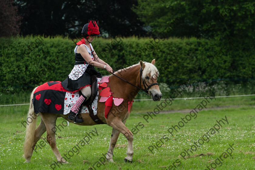 Fancy Dress 010 
 Naphill Riding Club Open Show 
 Keywords: Naphill Riding Club,Open Show, Equestrian, Piers Photography, Bucks Wedding Photographer