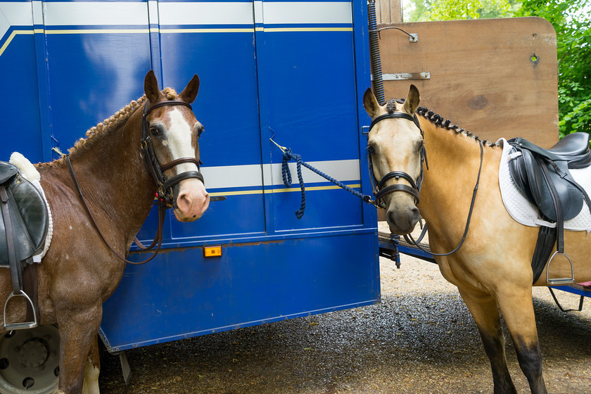 WWE Bridal BHS 017 
 West Wycombe Horse shoot 
 Keywords: Buckinghamshire wedding photographer, Horses, Piers Photo, Summer, West Wycombe House