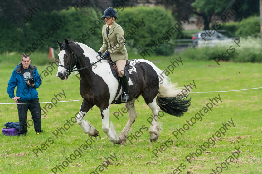 Ring 2 Afternoon 020 
 Naphill Riding Club Open Show 
 Keywords: Naphill Riding Club, Open Show, Equestrian, Piers Photography,
Bucks Wedding Photographer