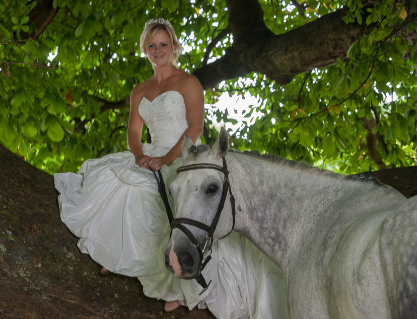 WWE Bridal tree 043 
 West Wycombe Horse shoot 
 Keywords: Buckinghamshire wedding photographer, Horses, Piers Photo, Summer, West Wycombe House