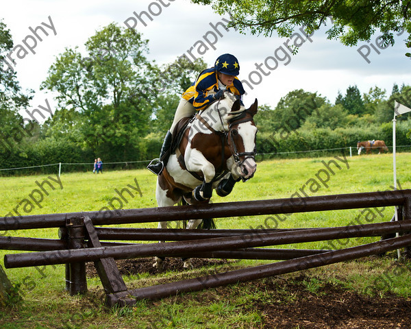 LSE horse trials 009 
 LSE Horse trials 
 Keywords: London and South East Horse Trials, Piers Photo