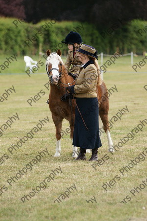 Leading Rein 23 
 NRCS Class 17 Leading Rein