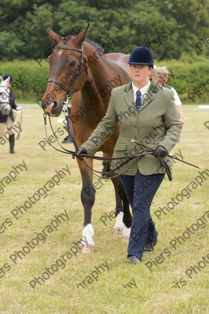 In Hnad Veteran Horse 13 
 NRCS Class 22 In Hand Veteran Horse