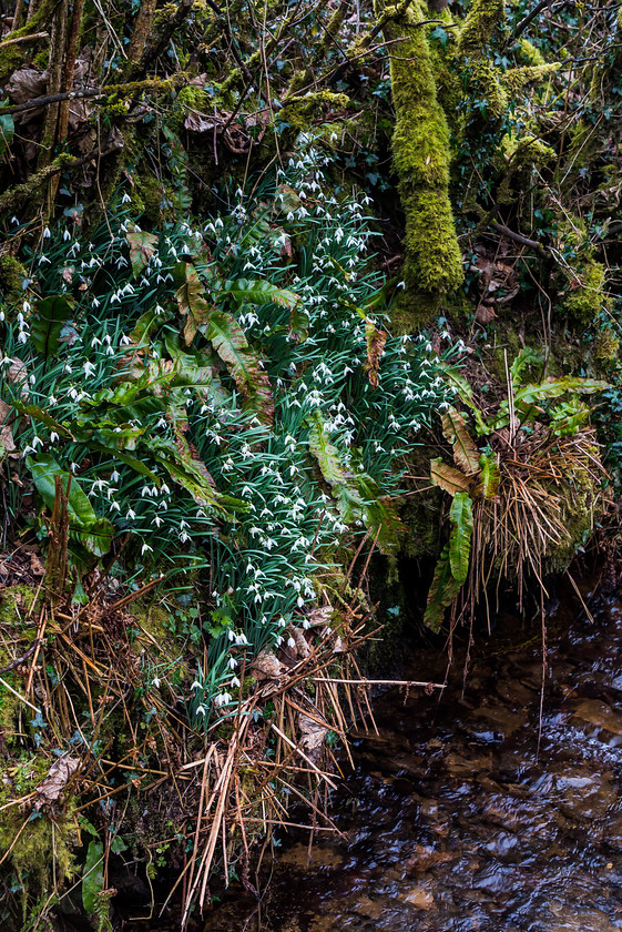 Hunting Exmoor 186 
 The Devon and Somerset Stag Hounds 
 Keywords: Buckingahmshire wedding photographer, Exmoor, Piers Photography, Withypool, the Devon and Somerset Stag Hounds