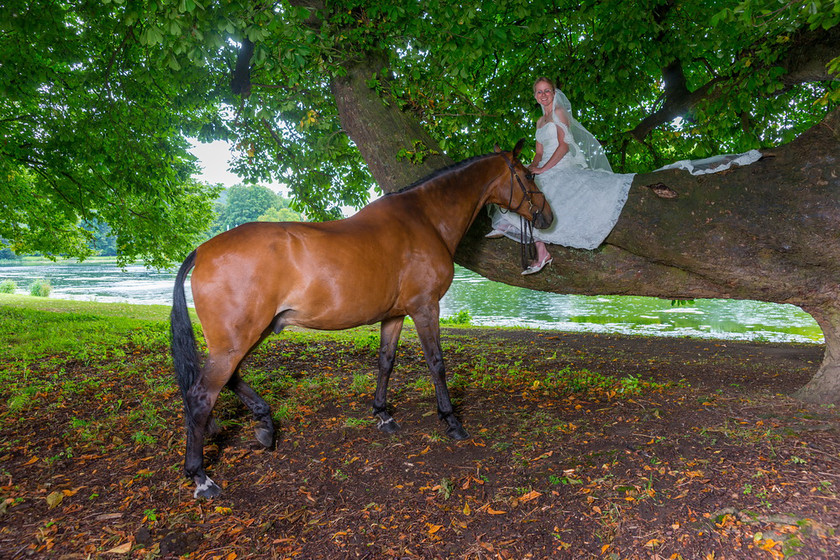 WWE Bridal tree 036 
 West Wycombe Horse shoot 
 Keywords: Buckinghamshire wedding photographer, Horses, Piers Photo, Summer, West Wycombe House