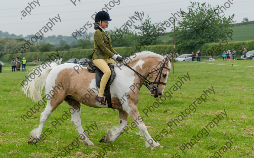 Ring 2 Afternoon 026 
 Naphill Riding Club Open Show 
 Keywords: Naphill Riding Club, Open Show, Equestrian, Piers Photography,
Bucks Wedding Photographer