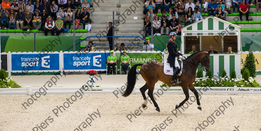 Freestle dressage WEG 009 
 WEG 2014 Freestyle dressage