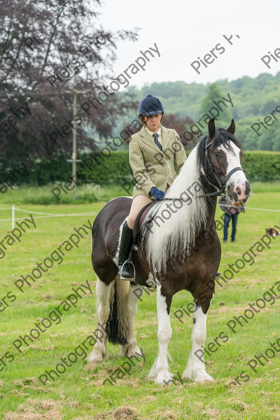 Ring 2 Afternoon 027 
 Naphill Riding Club Open Show 
 Keywords: Naphill Riding Club, Open Show, Equestrian, Piers Photography,
Bucks Wedding Photographer