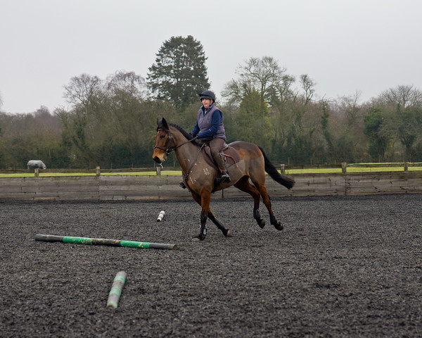 Ollie and Blyth Lesson 24 
 Ollie and Blyth Lesson 
 Keywords: Piers Photo, Moses Plat Yard, Ollie, Blyth, Mary Hilder, Jo Reynolds