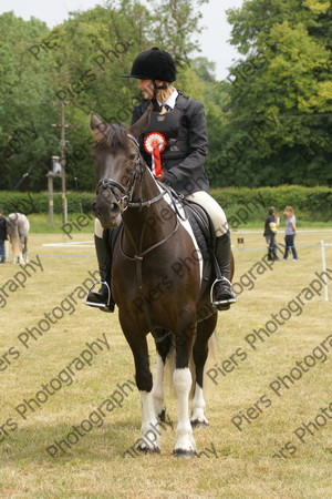 Family Horse 16 
 NRCS Class 20 Family Horse