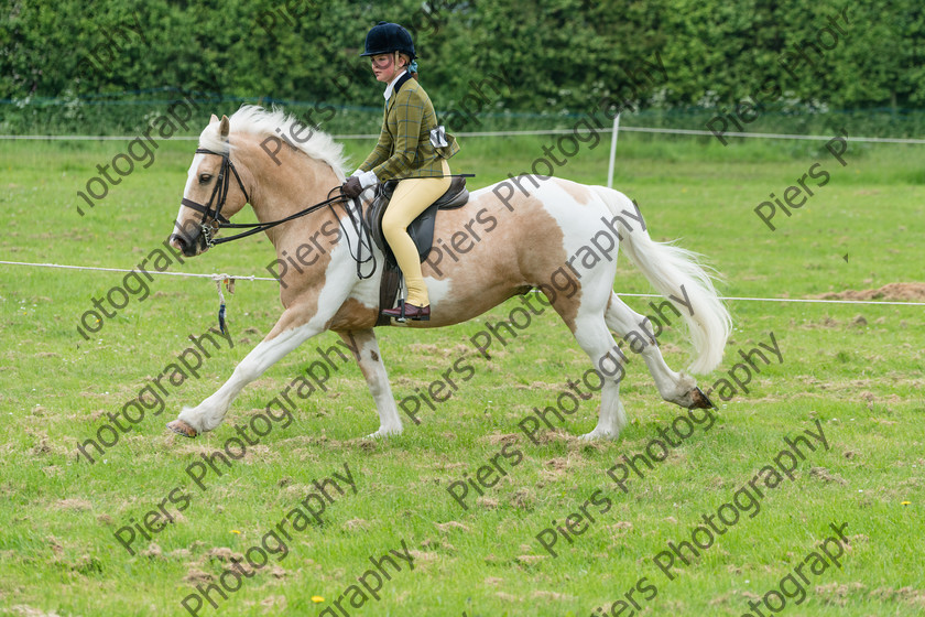 Ring 2 Afternoon 019 
 Naphill Riding Club Open Show 
 Keywords: Naphill Riding Club, Open Show, Equestrian, Piers Photography,
Bucks Wedding Photographer