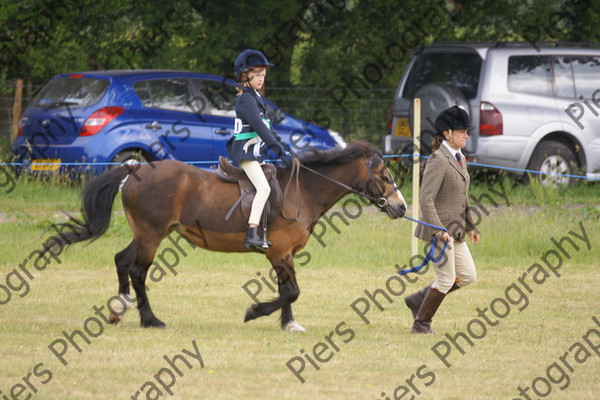 Leading Rein 20 
 NRCS Class 17 Leading Rein