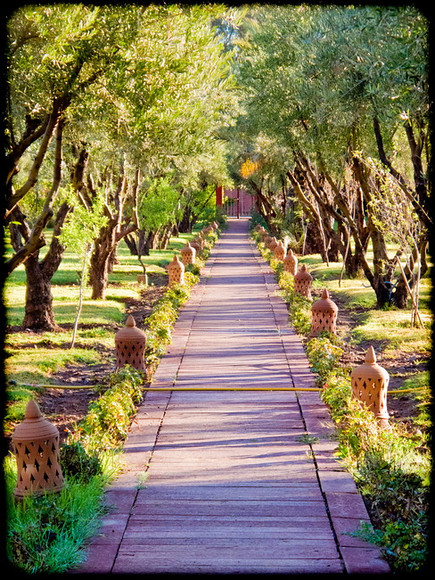 Morroco Hotel 011 
 Eden and Andalou Spa 
 Keywords: Morrocco, Marrakesh, Eden and Andalou Spa