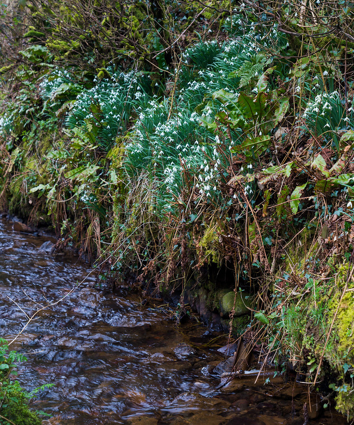 Hunting Exmoor 181 
 The Devon and Somerset Stag Hounds 
 Keywords: Buckingahmshire wedding photographer, Exmoor, Piers Photography, Withypool, the Devon and Somerset Stag Hounds