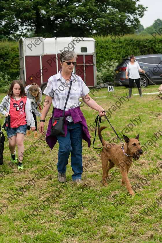 NRC Dog Show 030 
 Naphill Riding Club Open Show 
 Keywords: Naphill Riding Club, Open Show, Equestrian, Piers Photography, Bucks Wedding Photographer