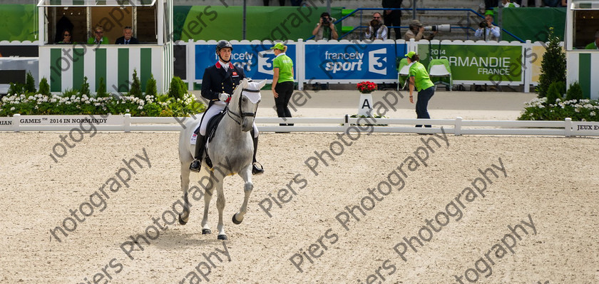 Freestle dressage WEG 015 
 WEG 2014 Freestyle dressage