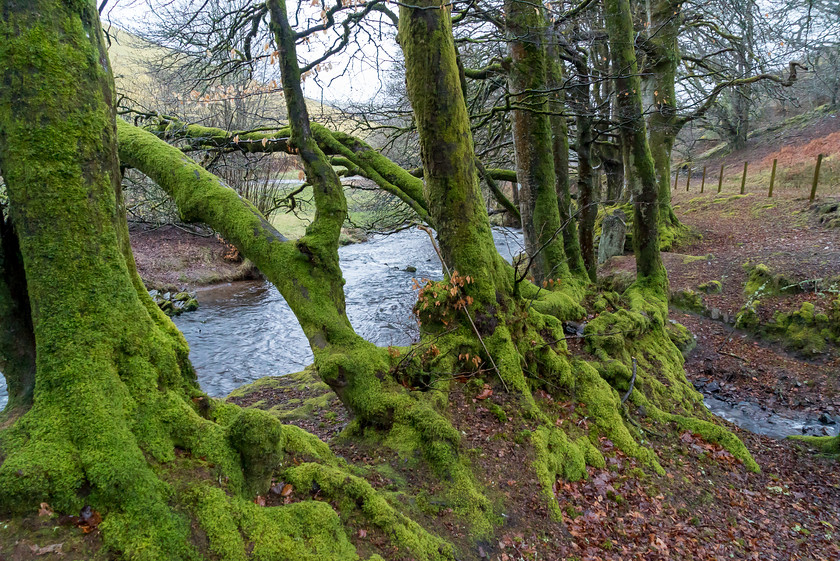 Exmoor 007 
 Exmoor 
 Keywords: Buckinghamshire wedding photographer, Exford, Exmoor, Piers Photography, Robbers Bridge