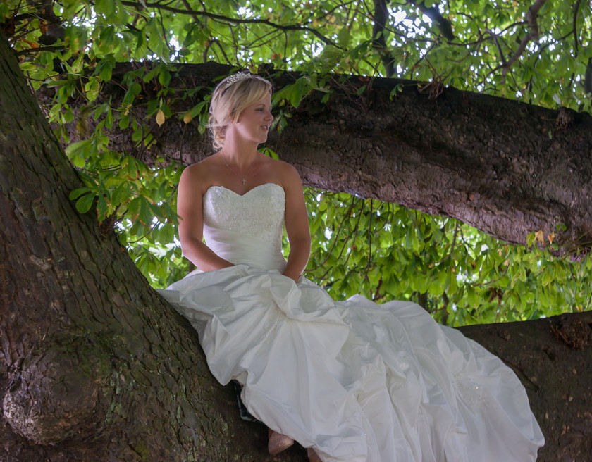 WWE Bridal tree 042 
 West Wycombe Horse shoot 
 Keywords: Buckinghamshire wedding photographer, Horses, Piers Photo, Summer, West Wycombe House