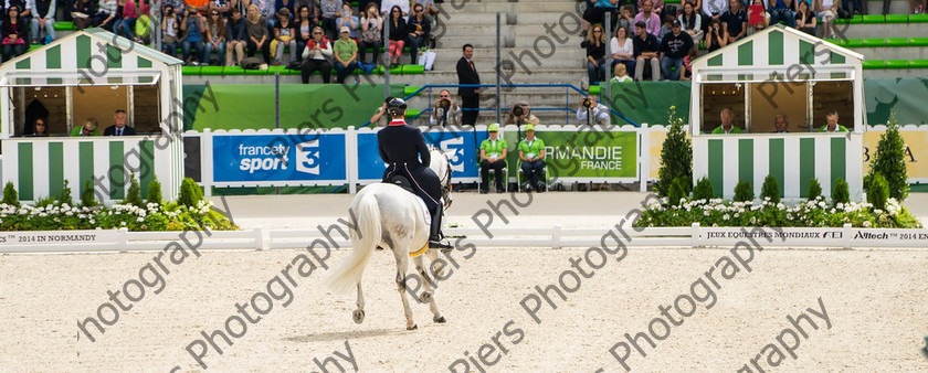 Freestle dressage WEG 018 
 WEG 2014 Freestyle dressage