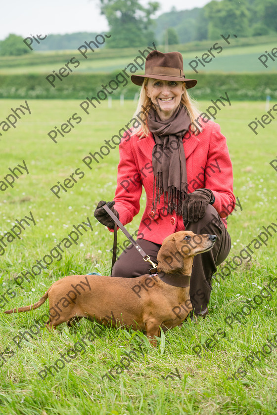 show portraits 20 
 Naphill Riding Club Open Show 
 Keywords: Naphill Riding Club, Open Show, Equestrian, Piers Photography, Bucks Wedding Photographer