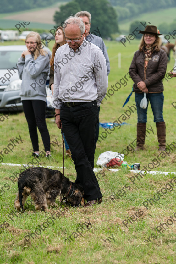 NRC Dog Show 046 
 Naphill Riding Club Open Show 
 Keywords: Naphill Riding Club, Open Show, Equestrian, Piers Photography, Bucks Wedding Photographer