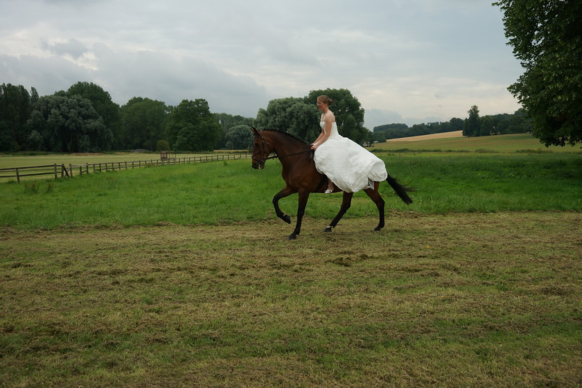 Alice Canter 030 
 West Wycombe Horse shoot 
 Keywords: Buckinghamshire wedding photographer, Horses, Piers Photo, Summer, West Wycombe House