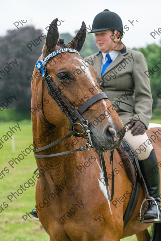 Ring 2 Afternoon 033 
 Naphill Riding Club Open Show 
 Keywords: Naphill Riding Club, Open Show, Equestrian, Piers Photography,
Bucks Wedding Photographer