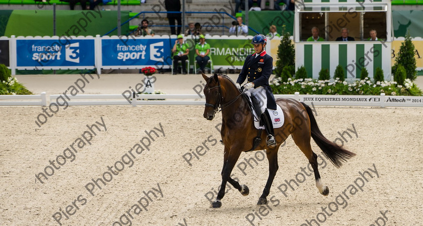 Freestle dressage WEG 010 
 WEG 2014 Freestyle dressage