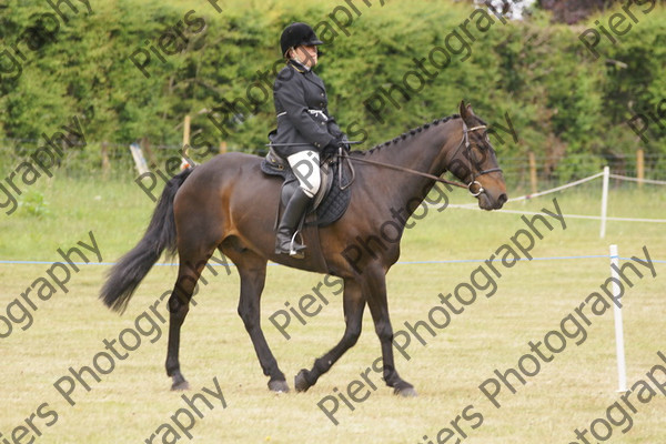 Ridden Veteran Horse 007 
 NRCS Class 23 Ridden Veteran Horse