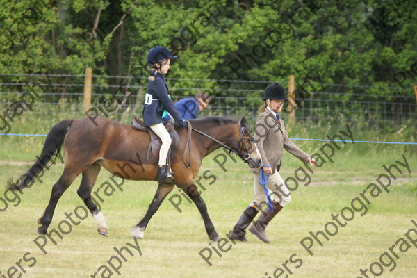 Leading Rein 19 
 NRCS Class 17 Leading Rein