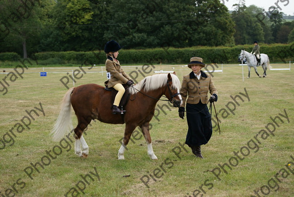 Leading Rein 38 
 NRCS Class 17 Leading Rein