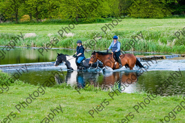 NRCWWE09 029 
 Naphill Riding Club West Wycombe Ride 09 
 Keywords: Naphill Riding Club, West Wycombe Estate