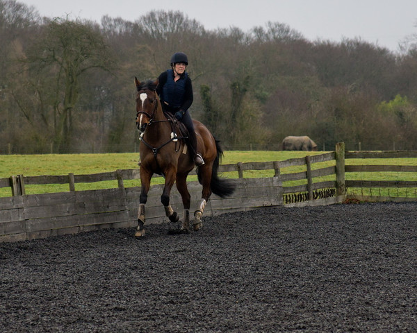 Ollie and Blyth Lesson 13 
 Ollie and Blyth Lesson 
 Keywords: Piers Photo, Moses Plat Yard, Ollie, Blyth, Mary Hilder, Jo Reynolds