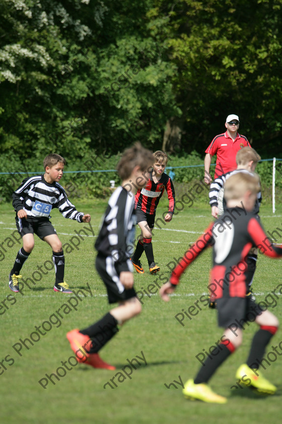 yy7y7073 
 Under 9s matches