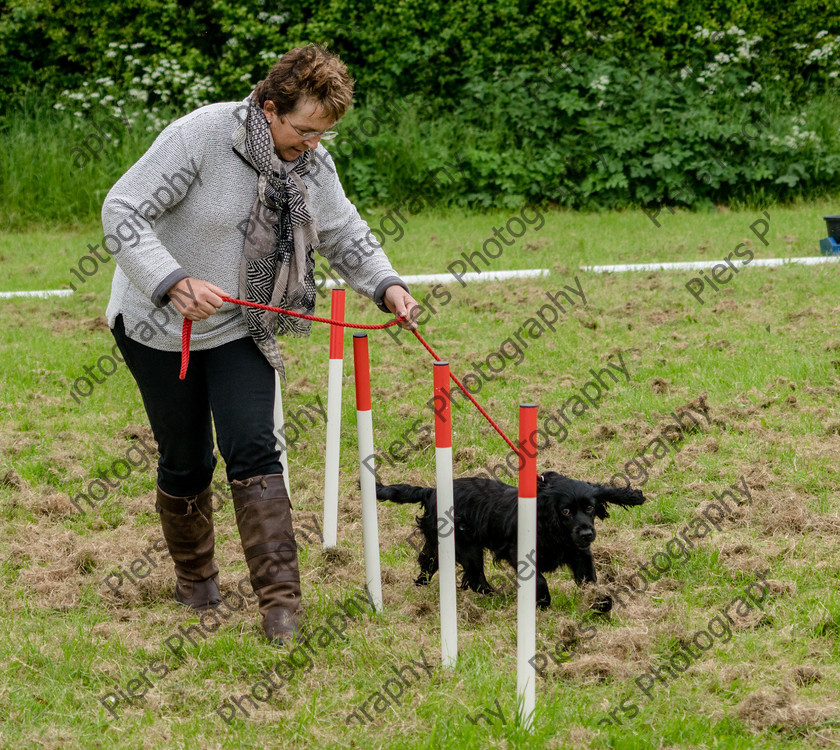 NRC Dog Show 075 
 Naphill Riding Club Open Show 
 Keywords: Naphill Riding Club, Open Show, Equestrian, Piers Photography, Bucks Wedding Photographer