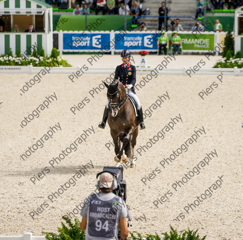 Freestle dressage WEG 032 
 WEG 2014 Freestyle dressage