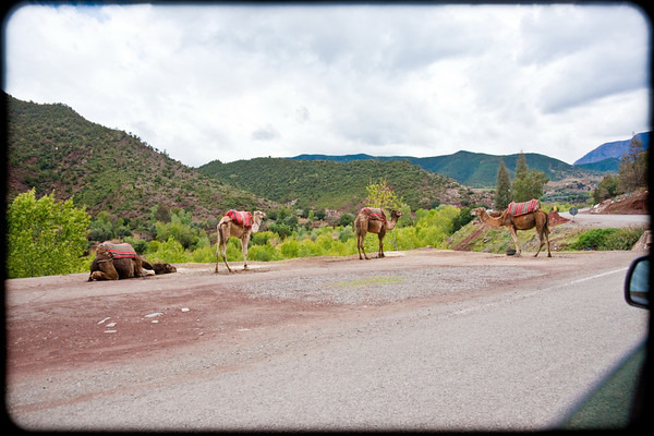 Atlas Mountains Trip 020 
 Keywords: Marrakesh, Morocco, Piers Photography