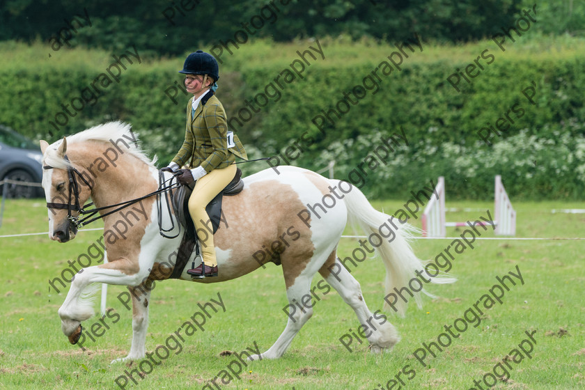 Ring 2 Afternoon 012 
 Naphill Riding Club Open Show 
 Keywords: Naphill Riding Club, Open Show, Equestrian, Piers Photography,
Bucks Wedding Photographer