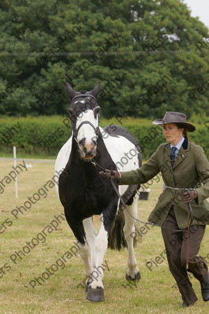 In Hnad Veteran Horse 08 
 NRCS Class 22 In Hand Veteran Horse