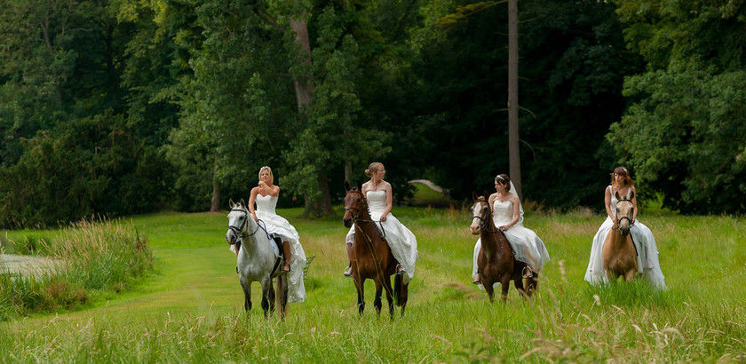 WWE Bridal Horse shoot 025 
 West Wycombe Horse shoot 
 Keywords: Buckinghamshire wedding photographer, Horses, Piers Photo, Summer, West Wycombe House